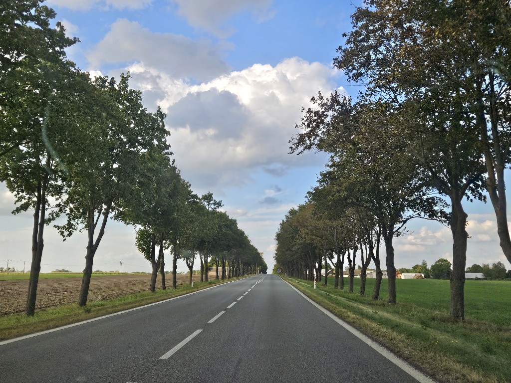 20250910_174518_copy_1024x768 (2).jpg