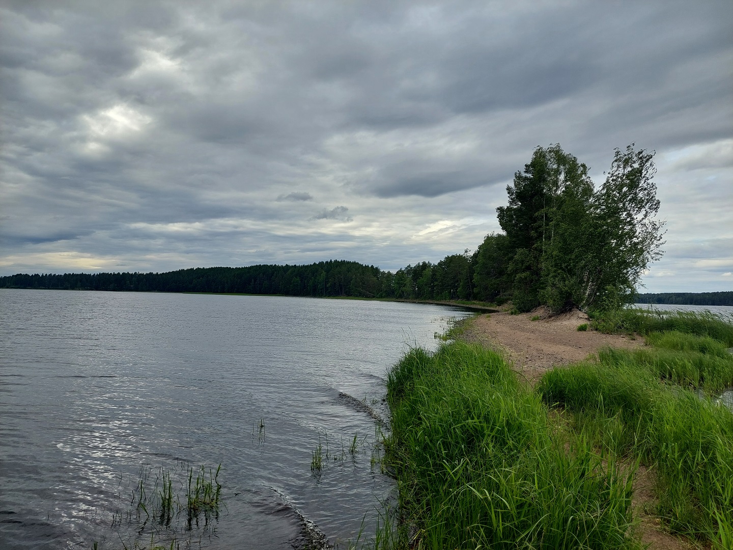 haikonkärki_1.jpg