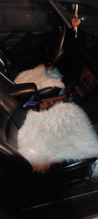 Suojia.jpg